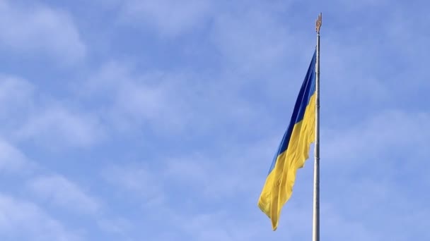 キエフ ウクライナ 2024年2月23日 青空と白雲の背景にあるウクライナの国旗 ブルーとイエローの旗 ウクライナの国旗 — ストック動画