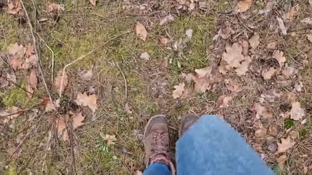 2024年3月6日 ウクライナのキエフ トレッキングシューズで森の中を歩く 一人一人の視点 女性の足を閉じる ステップ 春の森 天気の良い — ストック動画