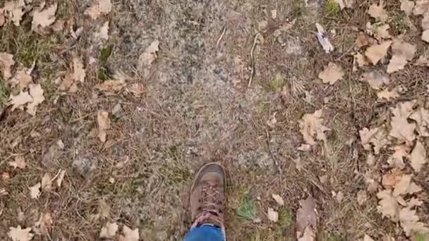 乌克兰基辅 2024年3月6日 穿着远足鞋在森林中行走 第一眼看到 女人的腿的特写 春天里的森林 — 图库视频影像