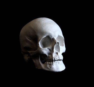 Siyah arka planda alçı beyaz kafatası. Karanlık bir arka planda sahte alçı kafatası. Kafatası çizmek için model, sanat okulu öğrencileri için. Anatomi ve sanat eğitimi kavramı