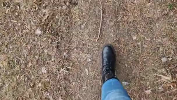 Ženské Nohy Modrých Džínách Kráčejí Lesní Cestě Pohled První Osoby — Stock video