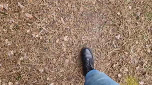 Γυναικεία Πόδια Μπλε Τζιν Περπατούν Κατά Μήκος Ενός Δασικού Μονοπατιού — Αρχείο Βίντεο