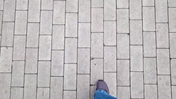 Κοντινό Πλάνο Ανθρώπινα Πόδια Περπατούν Στο Δρόμο Βόλτα Στο Πάρκο — Αρχείο Βίντεο