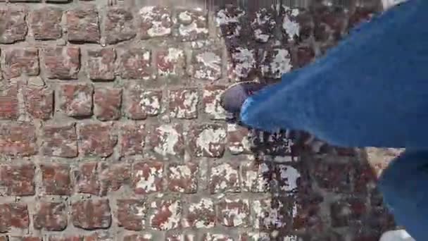 보행자의 다리는 지브라 횡단을 다리의 클로즈업 편안한 청바지와 운동화에 아래로 — 비디오