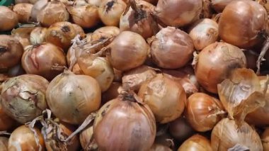 Bir marketin tezgahındaki plastik yeşil kutuda bir sürü soğan var. Süpermarkette soğan yakın plan. Sebze satmak.