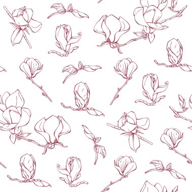 Farklı manolya çiçeklerinin desenleriyle kusursuz bir arka plan. Manolya çiçekleri, el çizimi. Çiçek botanik koleksiyonu. Bitmeyen çiçek arkaplanı