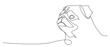 Pug, bir çizik. Yazmak için boş yeri olan bir köpek. Köpek gezdirme servisi. Evcil bir hayvanın portresi. Bir köpeğin namlu ağzının doğrusal çizimi. Hayvan dövmesi.