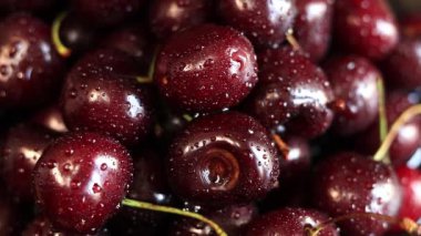 Siyah bir tabakta vişneli, ıslak arka planda, yakın plan. Islak tatlı olgun kirazlar. Yeşil saplı koyu kırmızı kirazlar ince su damlacıklarıyla kaplı. Yaz meyveleri, vitaminler
