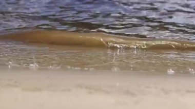 Sahil şeridi, nehir kumu. River, küçük dalgalar yaklaşıyor. Doğa. Nehir kıyısında dinleniyor, su çok yakın.