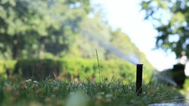 Çimenler, çimenler ve bitkiler için otomatik sulama sistemleri. Otomatik sulama sistemleri parka su püskürtür. Çimleri sulamak için plastik su püskürtücü, yakın plan.