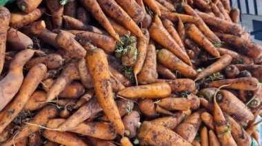 Markette, süpermarkette ya da kapalı markette havuç satmak. Havuç yakın plan. Markette havuçlu plastik kutular. Sebzeler