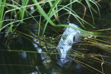 Plastik şişe suda, gölde ya da nehirde. Plastik kirliliği. Rezervlerin ve nehirlerin kirliliği. Nehirdeki çöpler yakın planda. Terk edilmiş bir şişe gölde yüzüyor. Nehir suyunda yiyecek plastiği