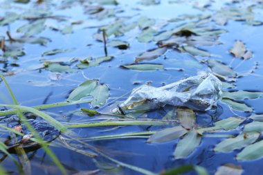 Plastik şişe suda, gölde ya da nehirde. Plastik kirliliği. Rezervlerin ve nehirlerin kirliliği. Nehirdeki çöpler yakın planda. Terk edilmiş bir şişe gölde yüzüyor. Nehir suyunda yiyecek plastiği