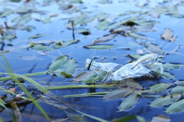 Plastic bottle in water, lake or river. Plastic pollution. Pollution of reservoirs and rivers. Garbage in the river close-up. An abandoned bottle floats on the lake. Food plastic in river water clipart