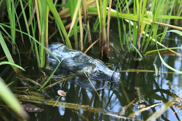 Stock image Plastic bottle in water, lake or river. Plastic pollution. Pollution of reservoirs and rivers. Garbage in the river close-up. An abandoned bottle floats on the lake. Food plastic in river water