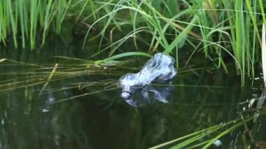 Plastik şişe suda, gölde ya da nehirde. Plastik kirliliği. Rezervlerin ve nehirlerin kirliliği. Nehirdeki çöpler yakın planda. Terk edilmiş bir şişe gölde yüzüyor. Nehir suyunda yiyecek plastiği