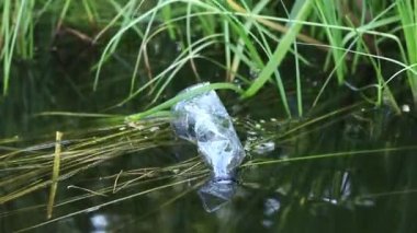 Plastik şişe suda, gölde ya da nehirde. Plastik kirliliği. Rezervlerin ve nehirlerin kirliliği. Nehirdeki çöpler yakın planda. Terk edilmiş bir şişe gölde yüzüyor. Nehir suyunda yiyecek plastiği