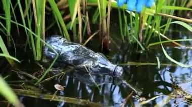 Eldiven giyen bir gönüllü göl veya gölette plastik şişe topluyor. Plastik şişe suda, gölde ya da nehirde. Plastik kirliliği. Rezervlerin ve nehirlerin kirliliği. Nehirdeki çöpler yakın plan.