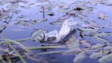 Eldiven giyen bir gönüllü göl veya gölette plastik şişe topluyor. Plastik şişe suda, gölde ya da nehirde. Plastik kirliliği. Rezervlerin ve nehirlerin kirliliği. Nehirdeki çöpler yakın plan.