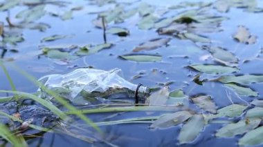 Eldiven giyen bir gönüllü göl veya gölette plastik şişe topluyor. Plastik şişe suda, gölde ya da nehirde. Plastik kirliliği. Rezervlerin ve nehirlerin kirliliği. Nehirdeki çöpler yakın plan.