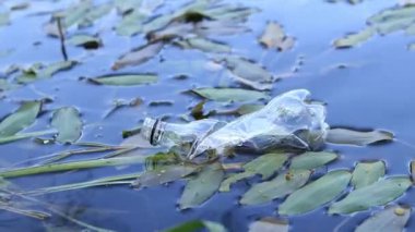 Eldiven giyen bir gönüllü göl veya gölette plastik şişe topluyor. Plastik şişe suda, gölde ya da nehirde. Plastik kirliliği. Rezervlerin ve nehirlerin kirliliği. Nehirdeki çöpler yakın plan.