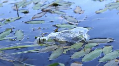 Eldiven giyen bir gönüllü göl veya gölette plastik şişe topluyor. Plastik şişe suda, gölde ya da nehirde. Plastik kirliliği. Rezervlerin ve nehirlerin kirliliği. Nehirdeki çöpler yakın plan.