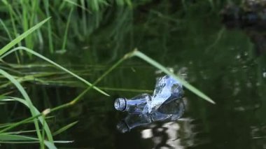 Eldiven giyen bir gönüllü göl veya gölette plastik şişe topluyor. Plastik şişe suda, gölde ya da nehirde. Plastik kirliliği. Rezervlerin ve nehirlerin kirliliği. Nehirdeki çöpler yakın plan.
