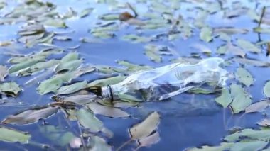 Eldiven giyen bir gönüllü göl veya gölette plastik şişe topluyor. Plastik şişe suda, gölde ya da nehirde. Plastik kirliliği. Rezervlerin ve nehirlerin kirliliği. Nehirdeki çöpler yakın plan.