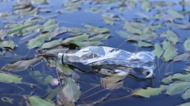 Eldiven giyen bir gönüllü göl veya gölette plastik şişe topluyor. Plastik şişe suda, gölde ya da nehirde. Plastik kirliliği. Rezervlerin ve nehirlerin kirliliği. Nehirdeki çöpler yakın plan.