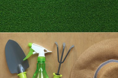 Ahşap arka planda ve çimlerde bahçe aletleri. El tırmığı, spatula ve bitkileri ilaçlamak için sprey şişesi. Bahar bahçıvanı konsepti. Üst Manzara. Dünya Çevre Günü