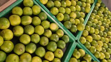 Markette meyve, plastik kutularda limon satışı. Limon satışı, seçici odaklanma. Süpermarketteki ürünler. Plastik kutularda turunçgil meyveleri, yakın plan. Olgun, sulu, yeşil meyveli C vitamini.