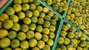 Markette meyve, plastik kutularda limon satışı. Limon satışı, seçici odaklanma. Süpermarketteki ürünler. Plastik kutularda turunçgil meyveleri, yakın plan. Olgun, sulu, yeşil meyveli C vitamini.