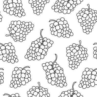 Üzüm salkımlarıyla kusursuz bir arka plan. Beyaz arka planda üzüm çizimleri. Dutların doğrusal çizimi. Sonsuz arkaplan