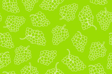 Kusursuz bir arka plan, bir demet üzümlü 1Pürüzsüz arka plan, bir demet üzümlü. Yeşil arka planda üzüm çizimleri. Dutların doğrusal çizimi. Sonsuz arkaplan