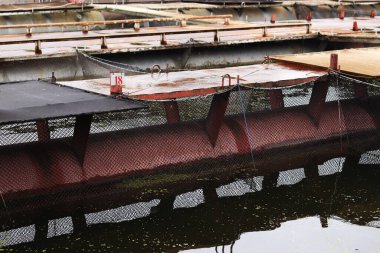 Havyar üretimi için havuzlarda mersin balığı yetiştiriyorum. Balık çiftliği için havuzlar. Sturgeon Çiftliği. Balık çiftliği. Yapay havuzda mersin balığı yetiştiriyor. Sudaki ağlar ve yürümek için yollar