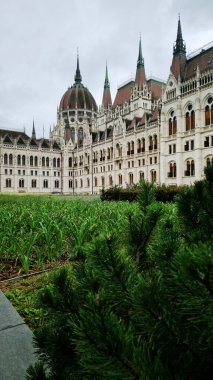 Budapeşte, Macaristan - 15 Eylül 2024. Sonbaharda Macar Parlamento Binası. Neo-Gotik. Budapeşte 'nin mimari simgesi. Budapeşte 'deki Macar Parlamento Binası' nın bir parçası
