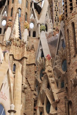 Barselona, İspanya - 19 Eylül 2024. Sagrada Familia Katedrali, dünyanın en büyük tamamlanmamış Katolik kilisesi. Katedral dışa dönük, detaylar