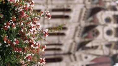 Sonbaharda Macar Parlamento Binası önündeki çiçekler. Budapeşte, Macaristan. Budapeşte 'nin mimari simgesi. Yeşillik. Macar Parlamento Binası 'nın bir bölümü