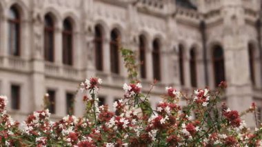 Sonbaharda Macar Parlamento Binası önündeki çiçekler. Budapeşte, Macaristan. Budapeşte 'nin mimari simgesi. Yeşillik. Macar Parlamento Binası 'nın bir bölümü