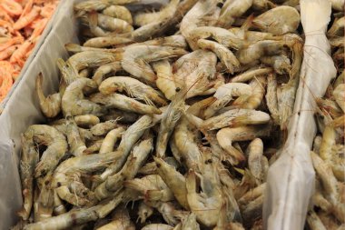 Kabuklu taze donmuş karides. Balık pazarı. Ekvador 'dan gelen karides süpermarketteki soğutma odasında taze dondurulmuş. Karides satışı. Tezgahta deniz ürünleri