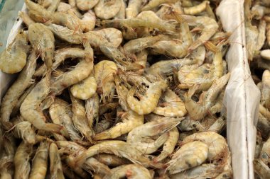 Kabuklu taze donmuş karides. Balık pazarı. Ekvador 'dan gelen karides süpermarketteki soğutma odasında taze dondurulmuş. Karides satışı. Tezgahta deniz ürünleri