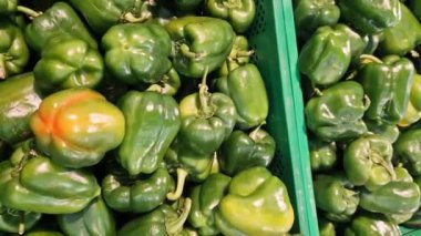 Dükkandaki tezgahın üzerinde yeşil dolmalık biber. Süpermarkette plastik kutulardaki biberler. Yemek pişirmek için. Bir grup taze organik tatlı biber. Sağlıklı gıda ve vejetaryenlik. Yakın plan.