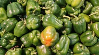 Dükkandaki tezgahın üzerinde yeşil dolmalık biber. Süpermarkette plastik kutulardaki biberler. Yemek pişirmek için. Bir grup taze organik tatlı biber. Sağlıklı gıda ve vejetaryenlik. Yakın plan.