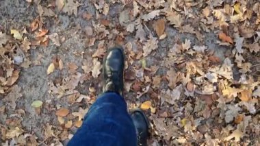 Kotlu kadın bacakları ve sonbahar botları sarı sonbahar yapraklarıyla kaplı bir orman yolunda yürüyor. Yere düşen yapraklarla kaplı birinci şahıs görüntüsü. Parkta yürü. Turizm