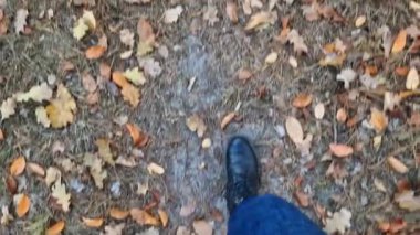Kotlu kadın bacakları ve sonbahar botları sarı sonbahar yapraklarıyla kaplı bir orman yolunda yürüyor. Yere düşen yapraklarla kaplı birinci şahıs görüntüsü. Parkta yürü. Turizm