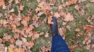 Sarı sonbahar yapraklarıyla kaplı çimenlerin üzerinde yürüyen bacaklar. Kotlu ve sonbahar botlu kadın bacaklarının yakın çekimi. Yere düşen yapraklarla kaplı birinci şahıs görüntüsü. Parkta yürü. Turizm