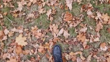 Sarı sonbahar yapraklarıyla kaplı çimenlerin üzerinde yürüyen bacaklar. Kotlu ve sonbahar botlu kadın bacaklarının yakın çekimi. Yere düşen yapraklarla kaplı birinci şahıs görüntüsü. Parkta yürü. Turizm
