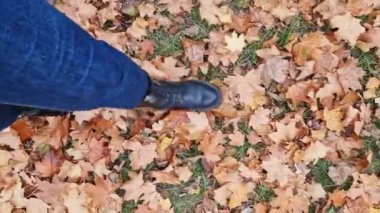 Sarı sonbahar yapraklarıyla kaplı çimenlerin üzerinde yürüyen bacaklar. Kotlu ve sonbahar botlu kadın bacaklarının yakın çekimi. Yere düşen yapraklarla kaplı birinci şahıs görüntüsü. Parkta yürü. Turizm