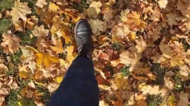 Parkta sonbahar sarı yapraklarını tekmeleyen ayaklar. Parkta yürüyordum. Turizm. Sonbahar çizmeleri içindeki kimliği belirsiz kadın ayakları kuru sarı yaprakları tekmeliyor. Birinci şahıs görüşü. Çimlerin üzerinde parlak yapraklar