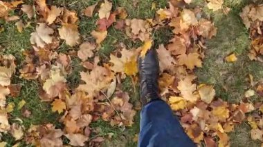 Parkta sonbahar sarı yapraklarını tekmeleyen ayaklar. Parkta yürüyordum. Turizm. Sonbahar çizmeleri içindeki kimliği belirsiz kadın ayakları kuru sarı yaprakları tekmeliyor. Birinci şahıs görüşü. Çimlerin üzerinde parlak yapraklar